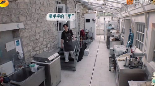 《中餐厅8》争议升级 林述巍被锁冷库，导演做法引众怒
